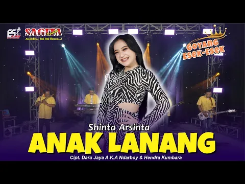 Download MP3 Shinta Arsinta - Anak Lanang | Sagita Assololley | Dangdut (Official Music Video)