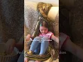 Download Lagu Little Girl Grows Up With Two Python BFFs | The Dodo