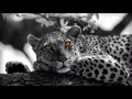 Sheldon - 1/4 de Lune | Clip images