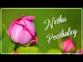 Lagu நேத்து பூத்தாளே - Nethu Poothaley