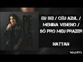 Lagu POT-POURRI (EU SEI / CÉU AZUL / MENINA VENENO / SÓ PRO MEU PRAZER) - Nattan (Áudio Oficial)