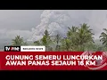 Lagu [BREAKING NEWS] Luncuran Awan Panas Gunung Semeru Meningkat, Status Menjadi Awas | tvOne