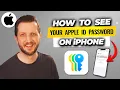 How To See Your Apple ID Password On iPhone