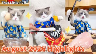 Puff's Most Creative Videos of August 2026  | That Little Puff