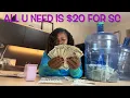 All You Need Is 20 One Dollar Bills To Help You Save Money For Emergency Fund Savings Challenge