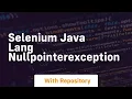 selenium java lang nullpointerexception