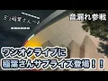 Download Lagu [Sound leaked into the event] Inaba really did appear as a secret guest at ONE OK ROCK's live show!