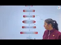 Chapter 5 Computational Thinking Computer Class 6 Smart Lecture Kohinoor Study Well