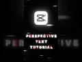 Perspective Text