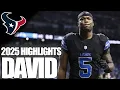 David Montgomery Highlights 2025 - 2026 NFL Season