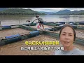 Download Lagu 老公还没有从中国来到老挝，自己带着工人把鱼苗下到网箱