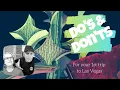 First time in Vegas Do s Don ts