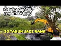 Download Lagu MASUK RAWA EXCAVATOR NGABISIN POHON❗️MENCETAK KALI BARU YANG HILANG 30 TAHUN❗️#kdm