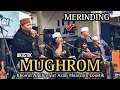 Download Lagu MUGHROM cover Akustik Nada Tinggi Melengking | Khoirul Amilin feat Azim Maazzain Coustik