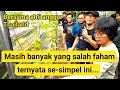 Download Lagu Cabang tersier anggur tumbuh merata bersama Ibu Badariah Indothai #anggur #grape