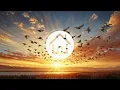 Elderbrook & Snakehips - Sunshine