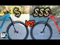 3 000 vs 9 000 Mountain Bike - What s The Difference