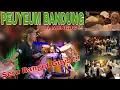 Download Lagu Keseruan di Teras Sentani Bawakan Lagu Peuyeum Bandung Full Mencug ❗❗❗