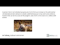 wild pointer in C HINDI URDU