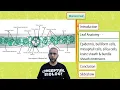 Monocot leaf with Dr Sohail Jamil Qureshi MDCAT Biology