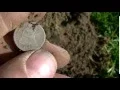 Detecting Illinois for a second hunt with the friendly forum group