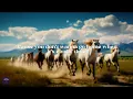 Morgan Evans - Kiss Somebody (Lyrics)