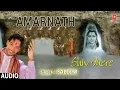 Download Lagu Amarnath I Shiv Bhajan I SALEEM I Full Audio Song I Shiv Mere I Amarnath Yatra Special