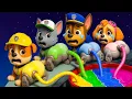 Lagu OMG! Why PAW PATROL is MISSING Color? PLEASE Don't Cry PAW Patrol! | Paw Patrol 3D Animation