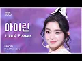 Download Lagu [#음중직캠] IRENE (아이린) – Like A Flower FanCam | 쇼! 음악중심 | MBC241215방송