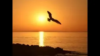 تغيب الشمس ميحد حمد 