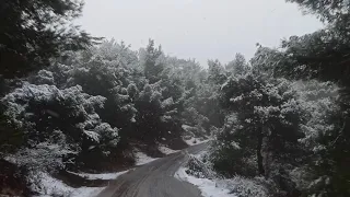 بخبيكي من اصوات الرعد 