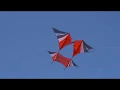 Download Lagu KiteFlying and a GoPro