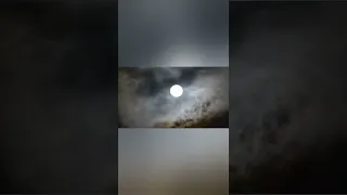 Shorts وافي بوعدك وأطلب ما تريد أغنية من قال عنك بدر أديب الدايخ 