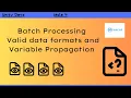 Part 2 Batch Processing Valid data formats Variable Propagation Mule 4 Mulesoft