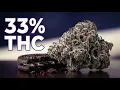 The Cannabis Bible chapter 8 Oreoz A Deep Dive into Cookies Cream s SUPER Potent Descendant
