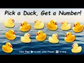 Pick a Duck Random Number Picker 1-13