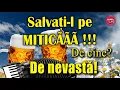 Download Lagu MUZICA DE PETRECERE – Mitica Blandu si formatia Zorile - Fratilor imi las nevasta
