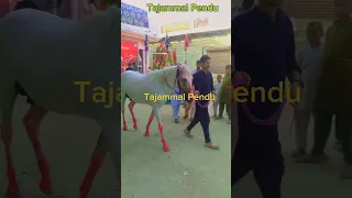                                                                                        دندنها