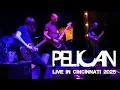 Download Lagu Pelican: \