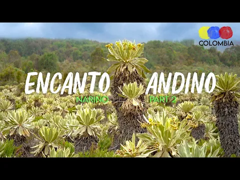 Encanto Andino Nature Reserve | Narino, Colombia