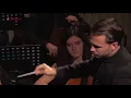 Mahler - Symphony No. 1 "Titan" [Movement 4]