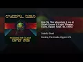 Fire on the Mountain (Live at Gizah Sound & Light Theater, Cairo, Egypt, Sept. 16, 1978)