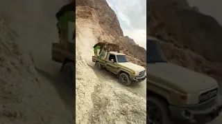 حالات مجرودة سيناوية عقدنا على فلسطين شيعنا سكر وطحين مصر سوريا فلسطين الأردن لبنان السعودية 