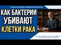 Lagu Как бактерии помогают победить рак?