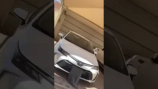 انتي من يوم مشيتي ردت أموت 