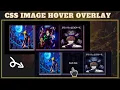 CSS Image Hover Effect - How To Create Image Hover Overlay Effect