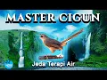 Download Lagu Master CIGUN, Ciblek Gunung + Jeda Terapi Air