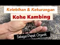 Lagu Kelebihan dan Kekurangan Kohe Kambing Sebagai Pupuk Organik