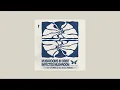 Download Lagu Infected Mushroom - Spaniard (Out of Orbit \u0026 Ido Segal remix)