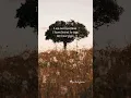 Download Lagu Broken heart takes time to heal❤️‍🩹Relatable?#feelings#love#quotes#trending shorts#heartbroken